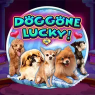 Doggone LuckyCQ9 screenshot